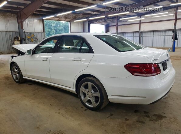 WDDHF5KB4GB213499 2016 MERCEDES-BENZ E White უკანა მარცხენა