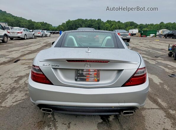 WDDPK3JA5GF118348 2016 MERCEDES-BENZ SLK Silver Vista trasera
