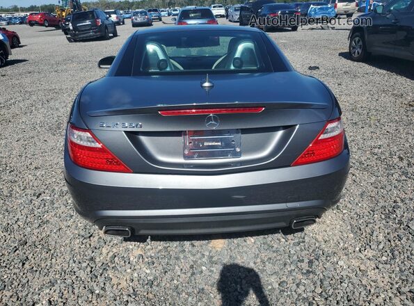 WDDPK5HA1GF117456 2016 MERCEDES-BENZ SLK Gray Widok z tyłu