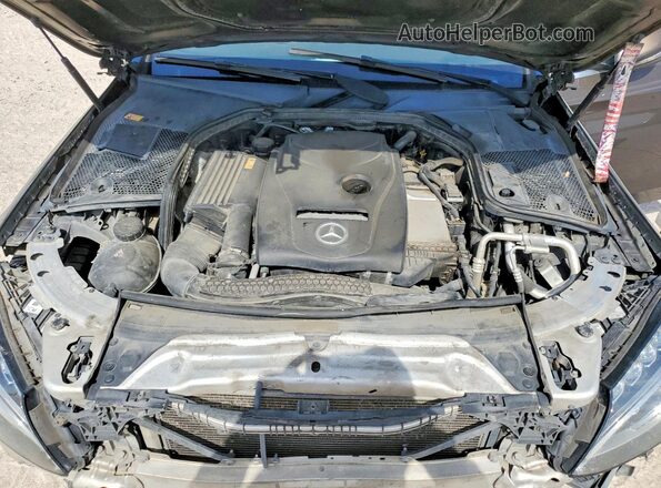 WDDWF4JB9GR183989 2016 MERCEDES-BENZ C Brown Vista interior trasera