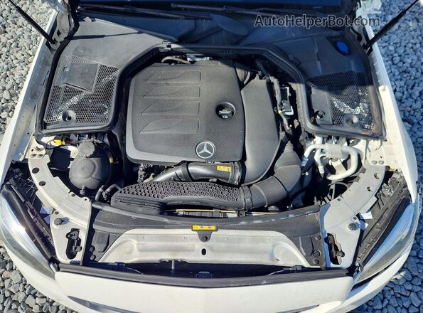WDDWF8DB9LR563606 2020 MERCEDES-BENZ C White უკანა სალონის ხედი