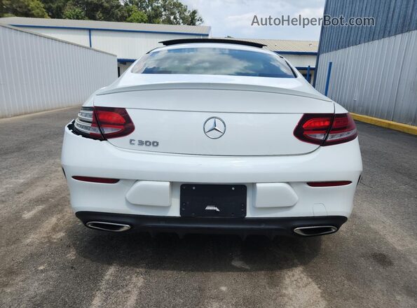 WDDWJ8DB3KF825229 2019 MERCEDES-BENZ C White 