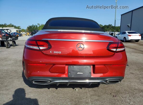WDDWK8DB6KF844211 2019 MERCEDES-BENZ C Red Widok z tyłu