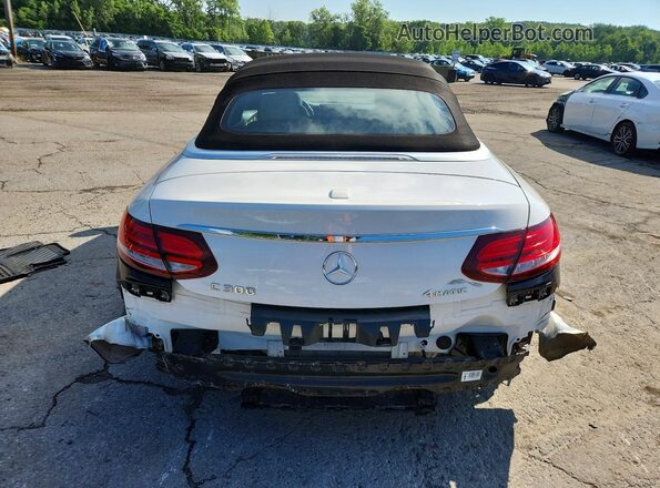 WDDWK8EB4KF785299 2019 MERCEDES-BENZ C Белый Вид сзади