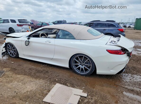 WDDXK8DB5KA035803 2019 MERCEDES-BENZ S White Tył lewy