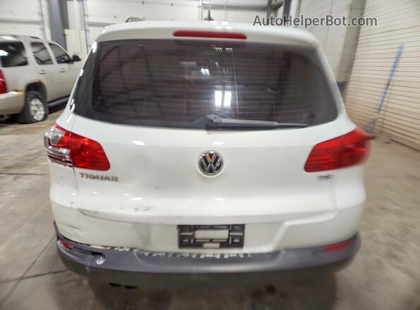 WVGAV7AX1HK026631 2017 VOLKSWAGEN TIGUAN White Հետևի տեսք