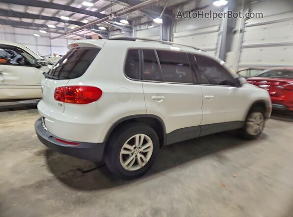 WVGAV7AX1HK026631 2017 VOLKSWAGEN TIGUAN White Հետևի աջ