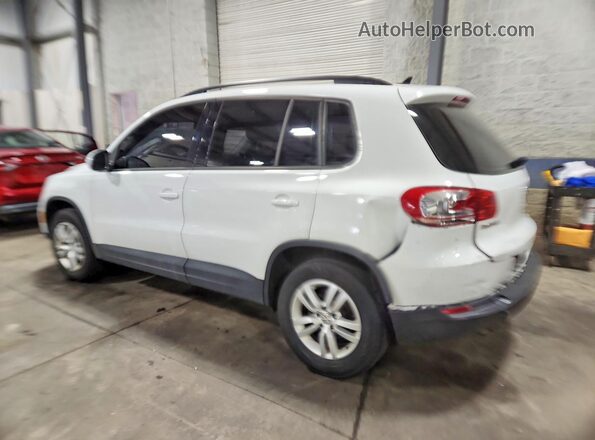 WVGAV7AX1HK026631 2017 VOLKSWAGEN TIGUAN White Հետևի ձախ