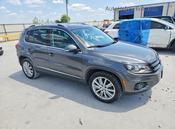 WVGAV7AX2GW523209 2016 VOLKSWAGEN TIGUAN Gray Delantero derecho
