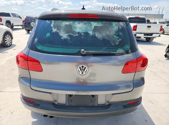 WVGAV7AX2GW523209 2016 VOLKSWAGEN TIGUAN Gray Vista trasera