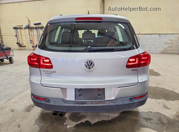 WVGAV7AX3GW529083 2016 VOLKSWAGEN TIGUAN Silver Widok z tyłu
