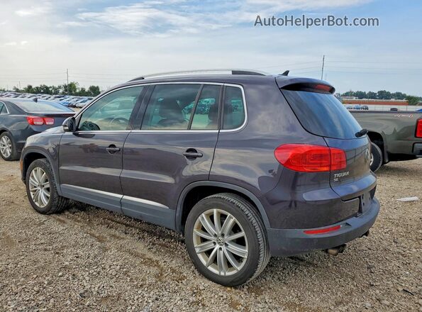 WVGAV7AX3GW529133 2016 VOLKSWAGEN TIGUAN Gray Rear left