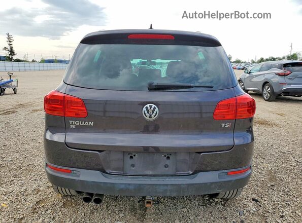 WVGAV7AX3GW529133 2016 VOLKSWAGEN TIGUAN Gray Rear view