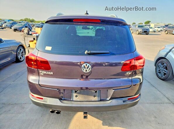 WVGAV7AX3GW596329 2016 VOLKSWAGEN TIGUAN Gray უკანა ხედი