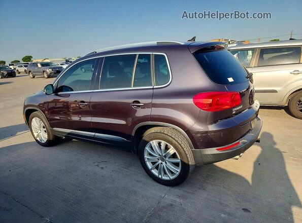 WVGAV7AX3GW596329 2016 VOLKSWAGEN TIGUAN Gray უკანა მარცხენა