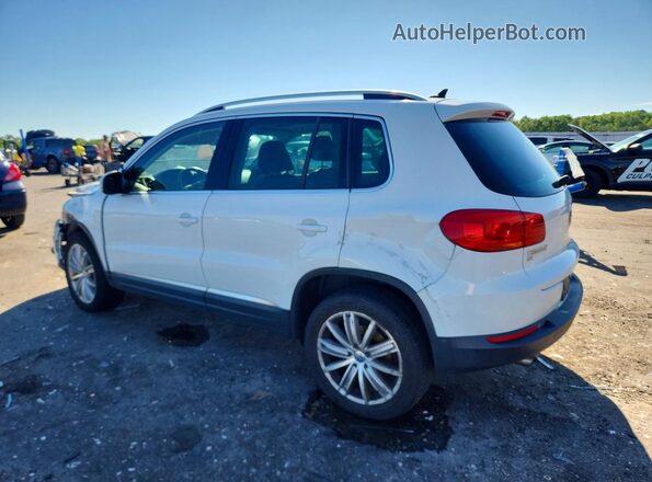 WVGAV7AX4GW513538 2016 VOLKSWAGEN TIGUAN White Задня ліва чверть
