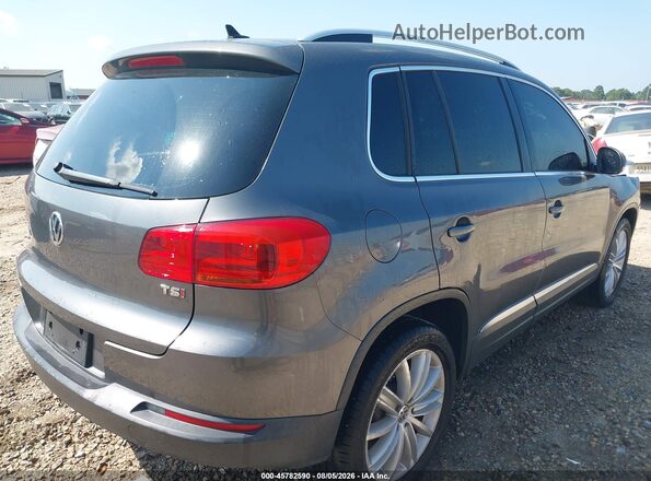 WVGAV7AX4GW542019 2016 VOLKSWAGEN TIGUAN Gray უკანა მარჯვენა