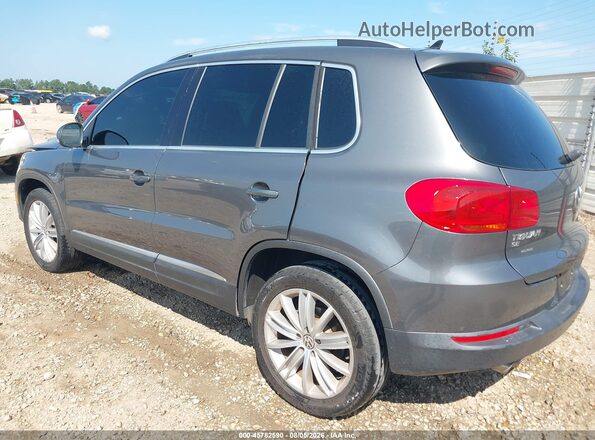 WVGAV7AX4GW542019 2016 VOLKSWAGEN TIGUAN Gray უკანა მარცხენა