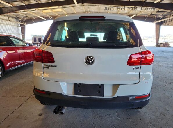 WVGAV7AX4HK055007 2017 VOLKSWAGEN TIGUAN White Rear view