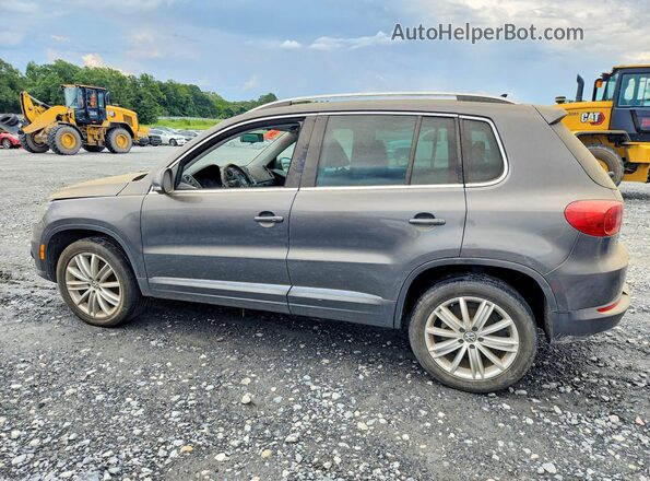 WVGAV7AX6GW524217 2016 VOLKSWAGEN TIGUAN Серый Задняя левая четверть
