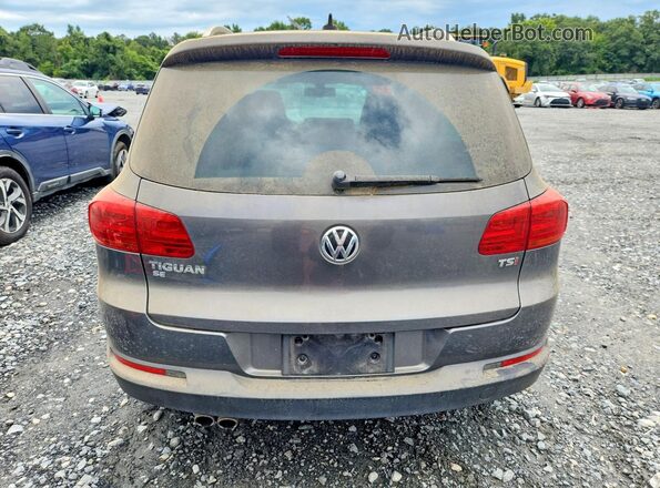 WVGAV7AX6GW524217 2016 VOLKSWAGEN TIGUAN Серый Вид сзади