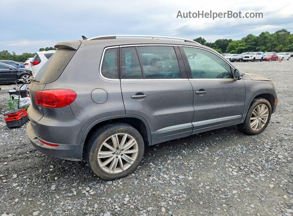 WVGAV7AX6GW524217 2016 VOLKSWAGEN TIGUAN Серый Задняя правая четверть