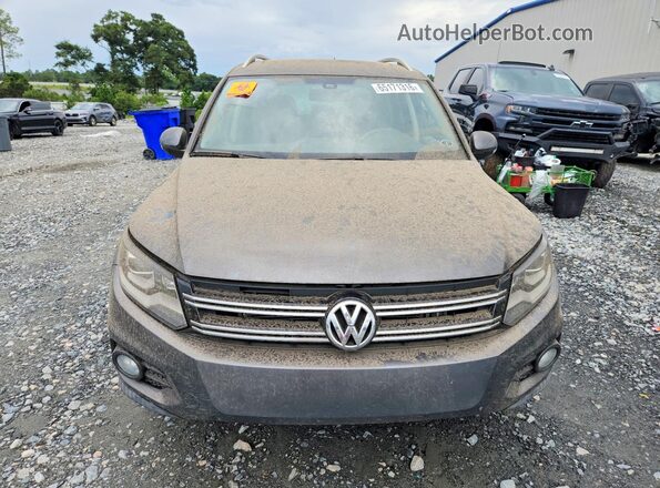 WVGAV7AX6GW524217 2016 VOLKSWAGEN TIGUAN Серый Вид спереди