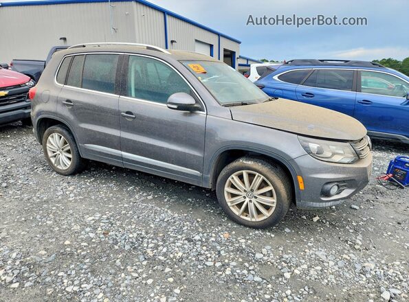 WVGAV7AX6GW524217 2016 VOLKSWAGEN TIGUAN Серый Передняя правая четверть