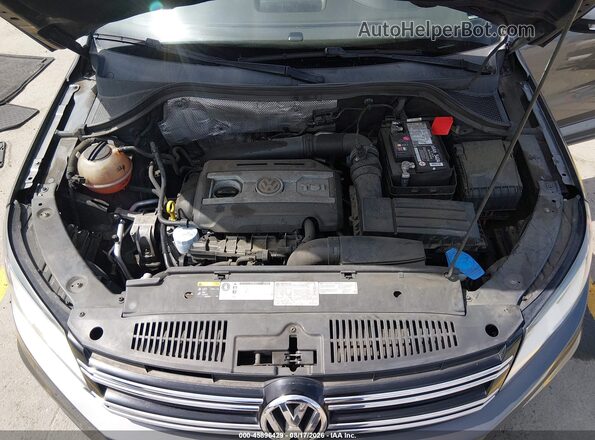 WVGAV7AX6GW585017 2016 VOLKSWAGEN TIGUAN Gray Widok z tyłu