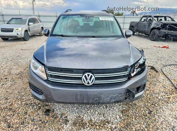 WVGAV7AX6GW593649 2016 VOLKSWAGEN TIGUAN Серый Вид спереди