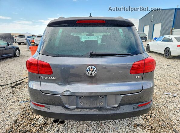WVGAV7AX6GW593649 2016 VOLKSWAGEN TIGUAN Серый Вид сзади