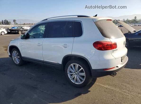 WVGAV7AX9GW591832 2016 VOLKSWAGEN TIGUAN White უკანა მარცხენა