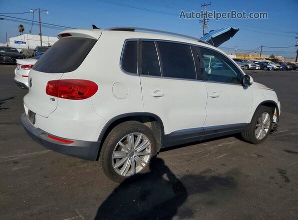 WVGAV7AX9GW591832 2016 VOLKSWAGEN TIGUAN White უკანა მარჯვენა