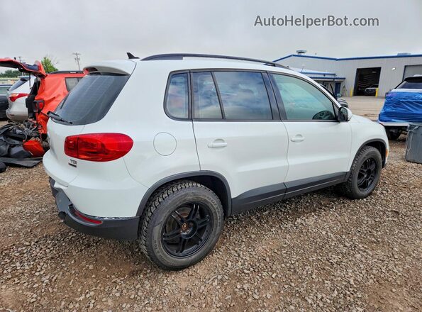 WVGBV7AX7HK047892 2017 VOLKSWAGEN TIGUAN White Trasero derecho