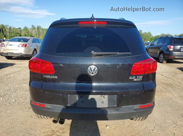 WVGJV7AX1GW606808 2016 VOLKSWAGEN TIGUAN Черный Вид сзади