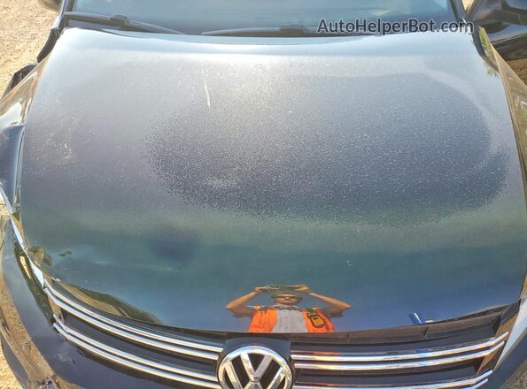 WVGJV7AX1GW606808 2016 VOLKSWAGEN TIGUAN Черный Вид задней части салона