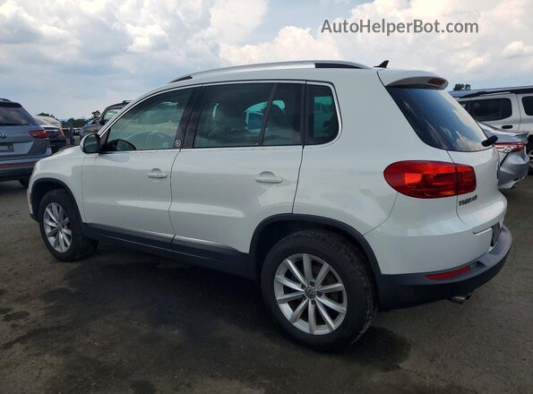 WVGSV7AX2HK008899 2017 VOLKSWAGEN TIGUAN White Задня ліва чверть