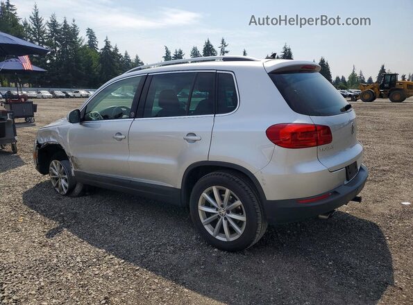 WVGSV7AX3HW513519 2017 VOLKSWAGEN TIGUAN Silver Հետևի ձախ