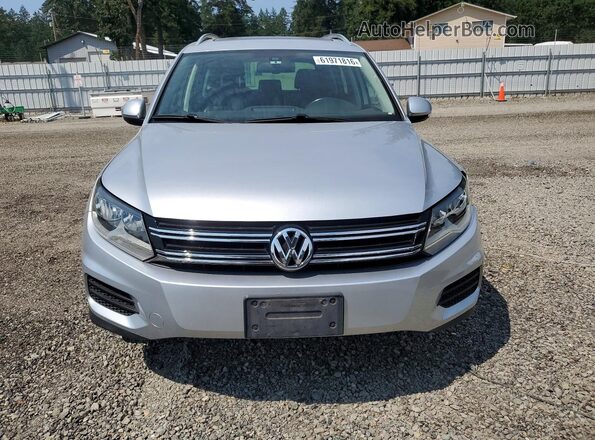 WVGSV7AX3HW513519 2017 VOLKSWAGEN TIGUAN Silver Դիմացի տեսք