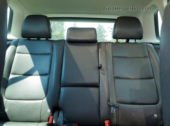 WVGSV7AX3HW513519 2017 VOLKSWAGEN TIGUAN Silver Հետևի նստատեղերի տեսք