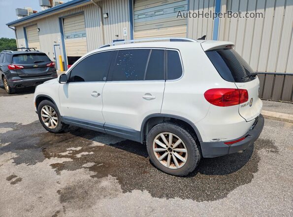 WVGSV7AX4HW503131 2017 VOLKSWAGEN TIGUAN White Rear left