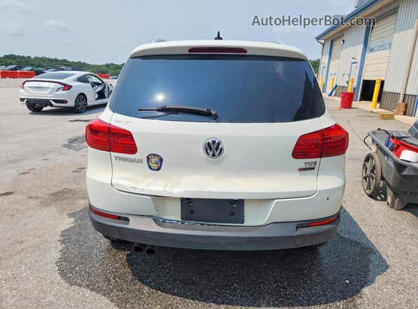 WVGSV7AX4HW503131 2017 VOLKSWAGEN TIGUAN White Rear view