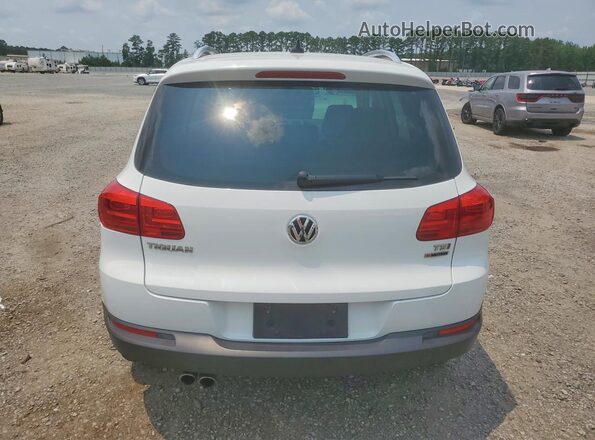 WVGSV7AX4HW510810 2017 VOLKSWAGEN TIGUAN White უკანა ხედი
