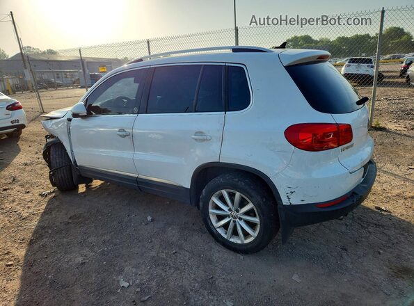 WVGSV7AX8HK005862 2017 VOLKSWAGEN TIGUAN White Հետևի ձախ