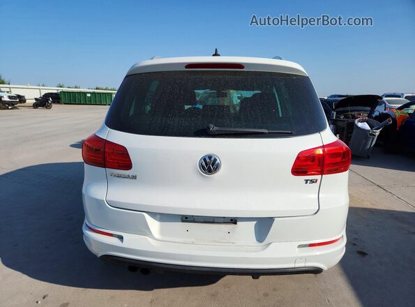 WVGTV7AX0HW508749 2017 VOLKSWAGEN TIGUAN White Вид ззаду