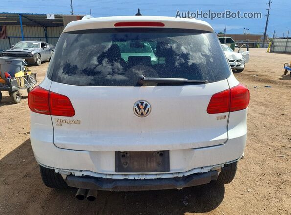 WVGTV7AX7HK007929 2017 VOLKSWAGEN TIGUAN White Widok z tyłu