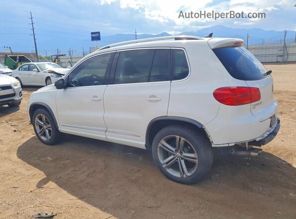 WVGTV7AX7HK007929 2017 VOLKSWAGEN TIGUAN White Tył lewy