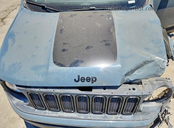 ZACCJABB3JPG98355 2018 JEEP RENEGADE Gray Вид задньої частини салону