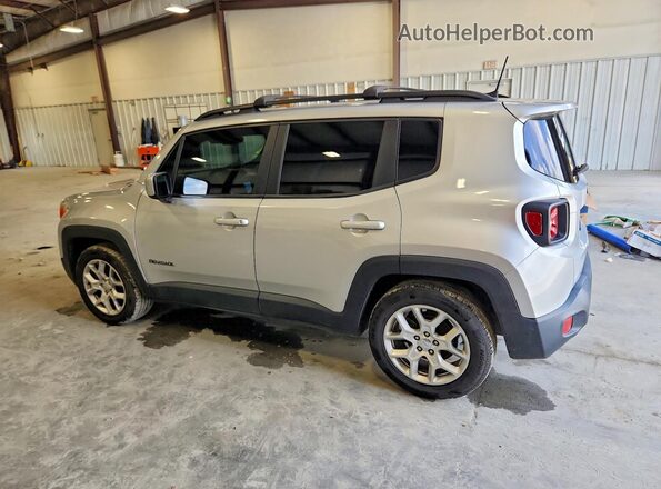 ZACCJABB3JPJ19961 2018 JEEP RENEGADE Silver Задня ліва чверть