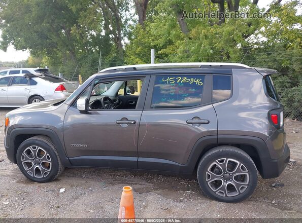 ZACCJADB1HPE55523 2017 JEEP RENEGADE Серый Панорамный вид салона 360°